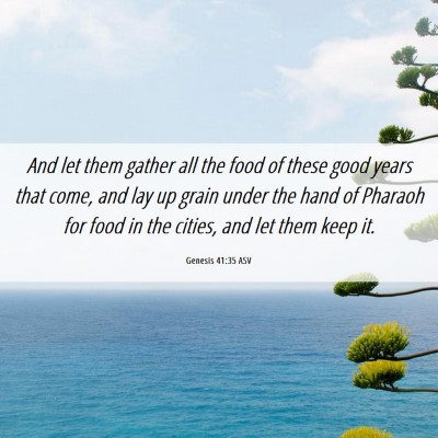 Picture 06 - Genesis 41:35 ASV - And let them gather all the food of these good - Bible Verse Picture