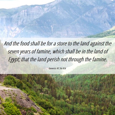 Picture 06 - Genesis 41:36 ASV - And the food shall be for a store to the land - Bible Verse Picture