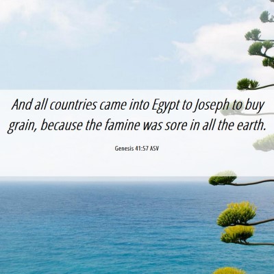 Picture 06 - Genesis 41:57 ASV - And all countries came into Egypt to Joseph to - Bible Verse Picture