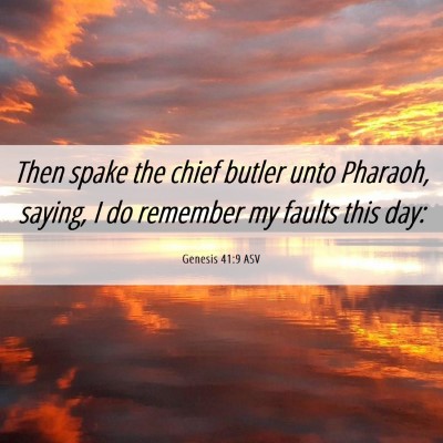 Picture 06 - Genesis 41:9 ASV - Then spake the chief butler unto Pharaoh, saying, - Bible Verse Picture