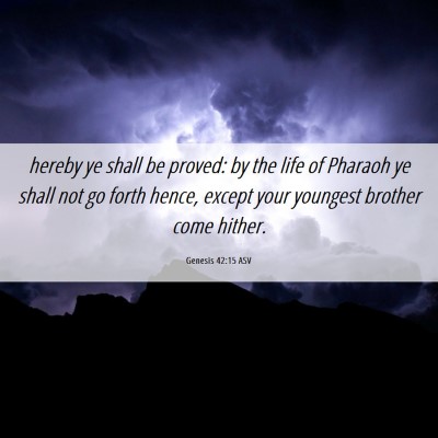Picture 06 - Genesis 42:15 ASV - hereby ye shall be proved: by the life of Pharaoh - Bible Verse Picture