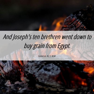 Picture 06 - Genesis 42:3 ASV - And Joseph's ten brethren went down to buy grain - Bible Verse Picture