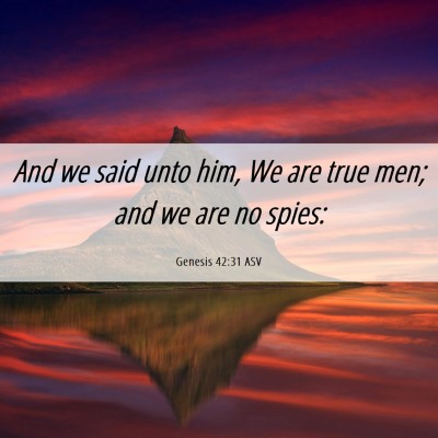 Picture 06 - Genesis 42:31 ASV - And we said unto him, We are true men; and we are - Bible Verse Picture