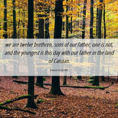 Picture 06 - Genesis 42:32 ASV - we are twelve brethren, sons of our father; one - Bible Verse Picture
