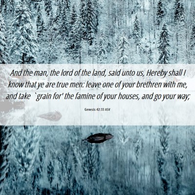Picture 06 - Genesis 42:33 ASV - And the man, the lord of the land, said unto us, - Bible Verse Picture