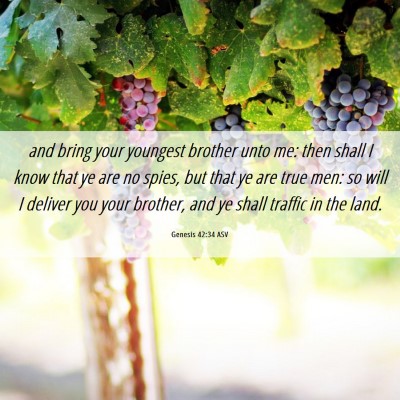 Picture 06 - Genesis 42:34 ASV - and bring your youngest brother unto me: then - Bible Verse Picture