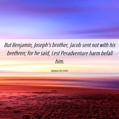 Picture 06 - Genesis 42:4 ASV - But Benjamin, Joseph's brother, Jacob sent not - Bible Verse Picture