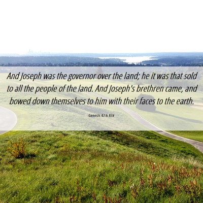 Picture 06 - Genesis 42:6 ASV - And Joseph was the governor over the land; he it - Bible Verse Picture
