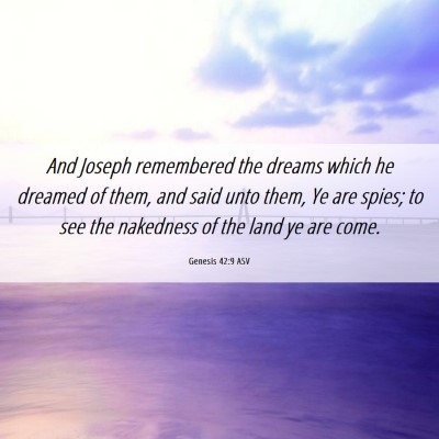 Picture 06 - Genesis 42:9 ASV - And Joseph remembered the dreams which he dreamed - Bible Verse Picture