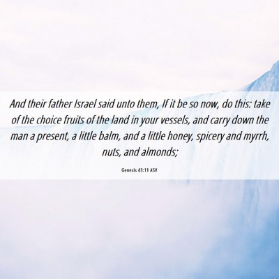 Picture 06 - Genesis 43:11 ASV - And their father Israel said unto them, If it be - Bible Verse Picture