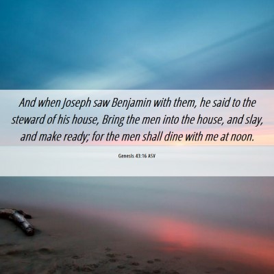 Picture 06 - Genesis 43:16 ASV - And when Joseph saw Benjamin with them, he said - Bible Verse Picture