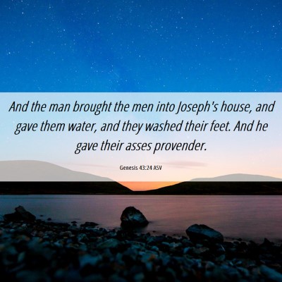 Picture 06 - Genesis 43:24 ASV - And the man brought the men into Joseph's house, - Bible Verse Picture