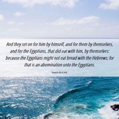 Picture 06 - Genesis 43:32 ASV - And they set on for him by himself, and for them - Bible Verse Picture