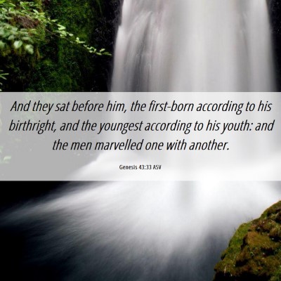Picture 06 - Genesis 43:33 ASV - And they sat before him, the first-born according - Bible Verse Picture