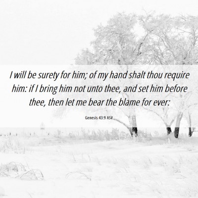 Picture 06 - Genesis 43:9 ASV - I will be surety for him; of my hand shalt thou - Bible Verse Picture