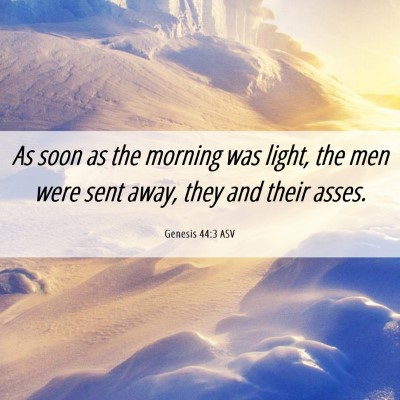 Picture 06 - Genesis 44:3 ASV - As soon as the morning was light, the men were - Bible Verse Picture
