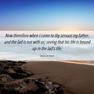 Picture 06 - Genesis 44:30 ASV - Now therefore when I come to thy servant my - Bible Verse Picture