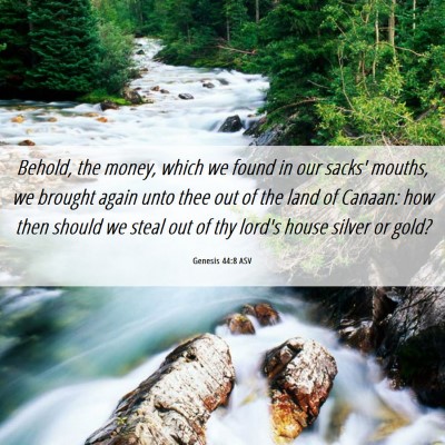 Picture 06 - Genesis 44:8 ASV - Behold, the money, which we found in our sacks' - Bible Verse Picture