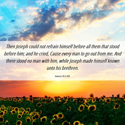Picture 06 - Genesis 45:1 ASV - Then Joseph could not refrain himself before all - Bible Verse Picture