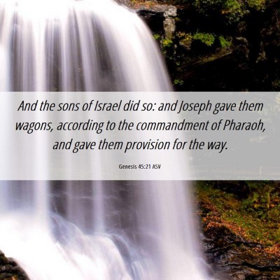 Picture 06 - Genesis 45:21 ASV - And the sons of Israel did so: and Joseph gave - Bible Verse Picture