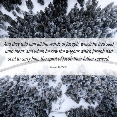 Picture 06 - Genesis 45:27 ASV - And they told him all the words of Joseph, which - Bible Verse Picture