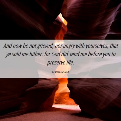 Picture 06 - Genesis 45:5 ASV - And now be not grieved, nor angry with - Bible Verse Picture