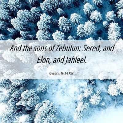 Picture 06 - Genesis 46:14 ASV - And the sons of Zebulun: Sered, and Elon, and - Bible Verse Picture