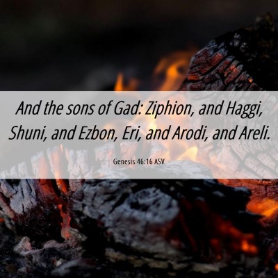 Picture 06 - Genesis 46:16 ASV - And the sons of Gad: Ziphion, and Haggi, Shuni, - Bible Verse Picture