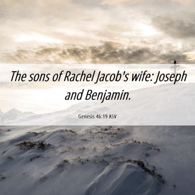 Picture 06 - Genesis 46:19 ASV - The sons of Rachel Jacob's wife: Joseph and - Bible Verse Picture