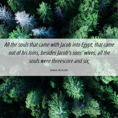 Picture 06 - Genesis 46:26 ASV - All the souls that came with Jacob into Egypt, - Bible Verse Picture
