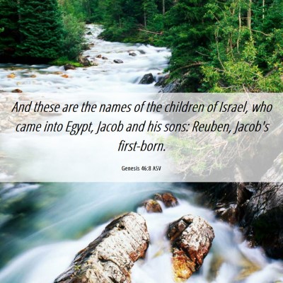 Picture 06 - Genesis 46:8 ASV - And these are the names of the children of - Bible Verse Picture
