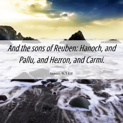 Picture 06 - Genesis 46:9 ASV - And the sons of Reuben: Hanoch, and Pallu, and - Bible Verse Picture
