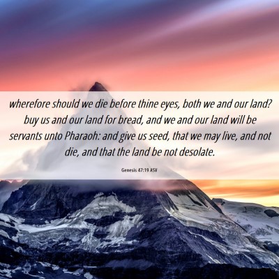 Picture 06 - Genesis 47:19 ASV - wherefore should we die before thine eyes, both - Bible Verse Picture