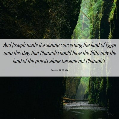 Picture 06 - Genesis 47:26 ASV - And Joseph made it a statute concerning the land - Bible Verse Picture