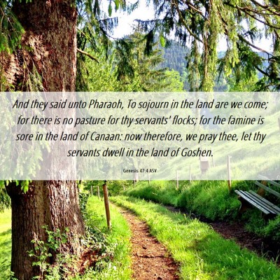 Picture 06 - Genesis 47:4 ASV - And they said unto Pharaoh, To sojourn in the - Bible Verse Picture