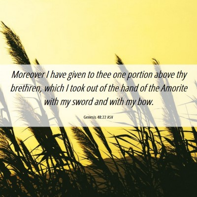 Picture 06 - Genesis 48:22 ASV - Moreover I have given to thee one portion above - Bible Verse Picture