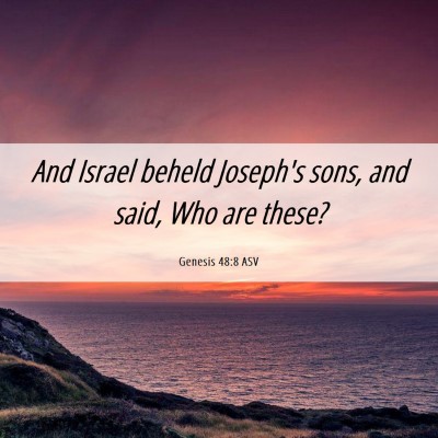 Picture 06 - Genesis 48:8 ASV - And Israel beheld Joseph's sons, and said, Who - Bible Verse Picture