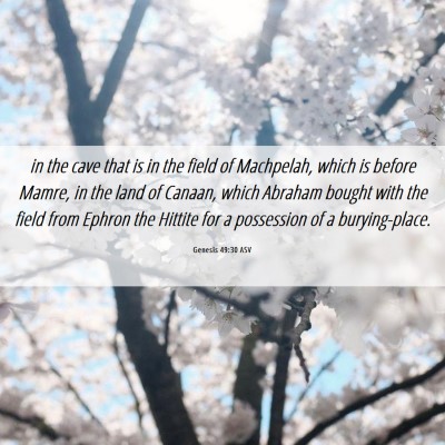 Picture 06 - Genesis 49:30 ASV - in the cave that is in the field of Machpelah, - Bible Verse Picture