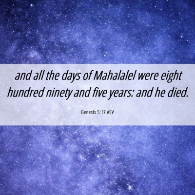 Picture 06 - Genesis 5:17 ASV - and all the days of Mahalalel were eight hundred - Bible Verse Picture