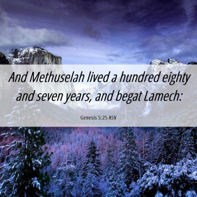 Picture 06 - Genesis 5:25 ASV - And Methuselah lived a hundred eighty and seven - Bible Verse Picture