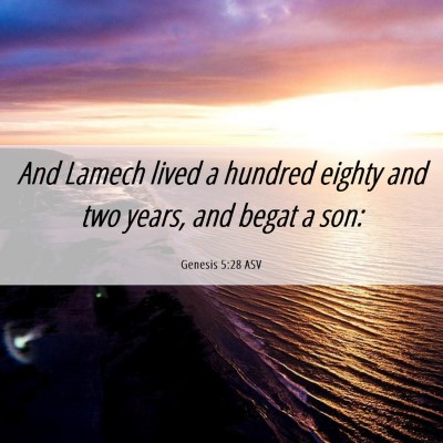 Picture 06 - Genesis 5:28 ASV - And Lamech lived a hundred eighty and two years, - Bible Verse Picture