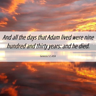 Picture 06 - Genesis 5:5 ASV - And all the days that Adam lived were nine - Bible Verse Picture