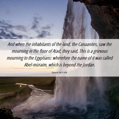 Picture 06 - Genesis 50:11 ASV - And when the inhabitants of the land, the - Bible Verse Picture