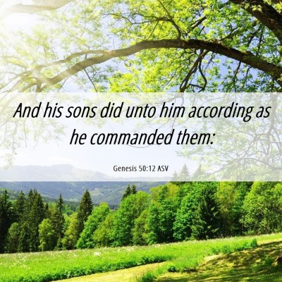 Picture 06 - Genesis 50:12 ASV - And his sons did unto him according as he - Bible Verse Picture