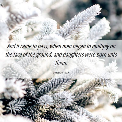 Picture 06 - Genesis 6:1 ASV - And it came to pass, when men began to multiply - Bible Verse Picture