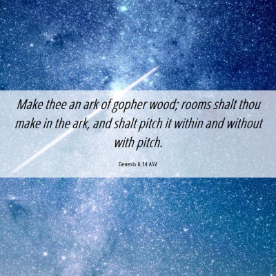 Picture 06 - Genesis 6:14 ASV - Make thee an ark of gopher wood; rooms shalt thou - Bible Verse Picture