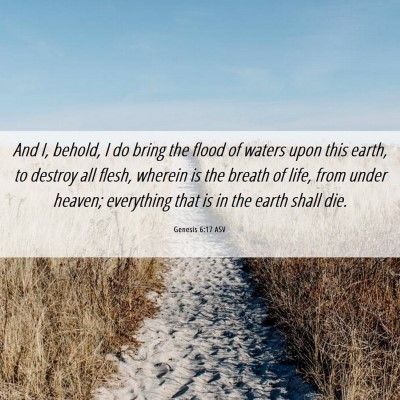 Picture 06 - Genesis 6:17 ASV - And I, behold, I do bring the flood of waters - Bible Verse Picture