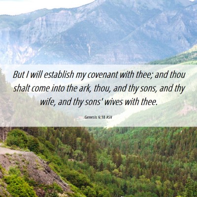 Picture 06 - Genesis 6:18 ASV - But I will establish my covenant with thee; and - Bible Verse Picture