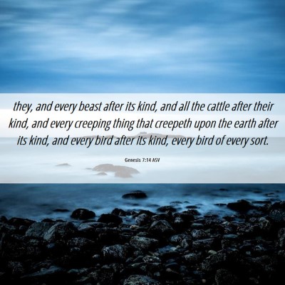 Picture 06 - Genesis 7:14 ASV - they, and every beast after its kind, and all the - Bible Verse Picture