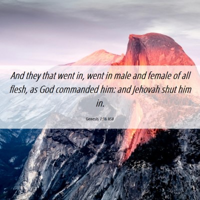 Picture 06 - Genesis 7:16 ASV - And they that went in, went in male and female of - Bible Verse Picture